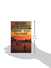 Load image into Gallery viewer, Sunrise Over Fallujah