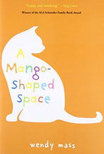 Load image into Gallery viewer, A Mango-Shaped Space