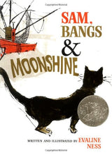 Load image into Gallery viewer, Sam, Bangs & Moonshine (1967 Caldecott Medal)