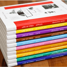 Load image into Gallery viewer, Life of Fred Elementary Mathematics: Grades 1-4