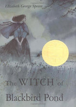 Load image into Gallery viewer, The Witch of Blackbird Pond (1959 Newbery)