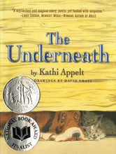 Load image into Gallery viewer, The Underneath (2009 Newbery Honor)