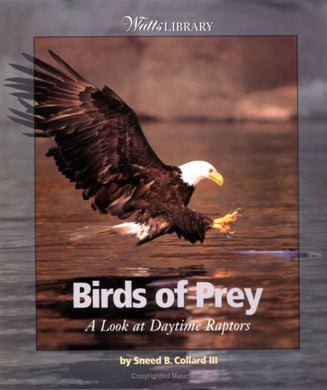 Birds of Prey: A Look at Daytime Raptors