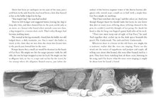 Load image into Gallery viewer, The Underneath (2009 Newbery Honor)