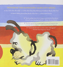 Load image into Gallery viewer, A Ball for Daisy (2012 Caldecott Medal)