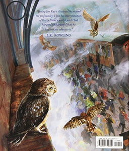 Harry Potter and the Sorcerer's Stone: The Illustrated Edition