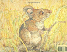Load image into Gallery viewer, The Lion &amp; the Mouse (2011 Caldecott Medal)